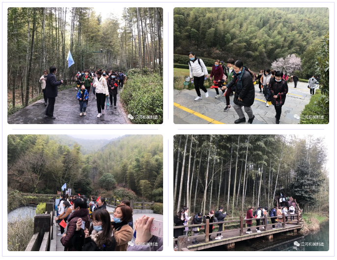 江蘇抖阴污免费网站女神節的旅遊紀錄