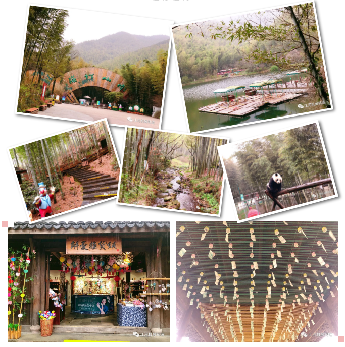 江蘇抖阴污免费网站女神節的旅遊紀錄